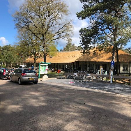 Chalet Albatros Diever Zewnętrze zdjęcie